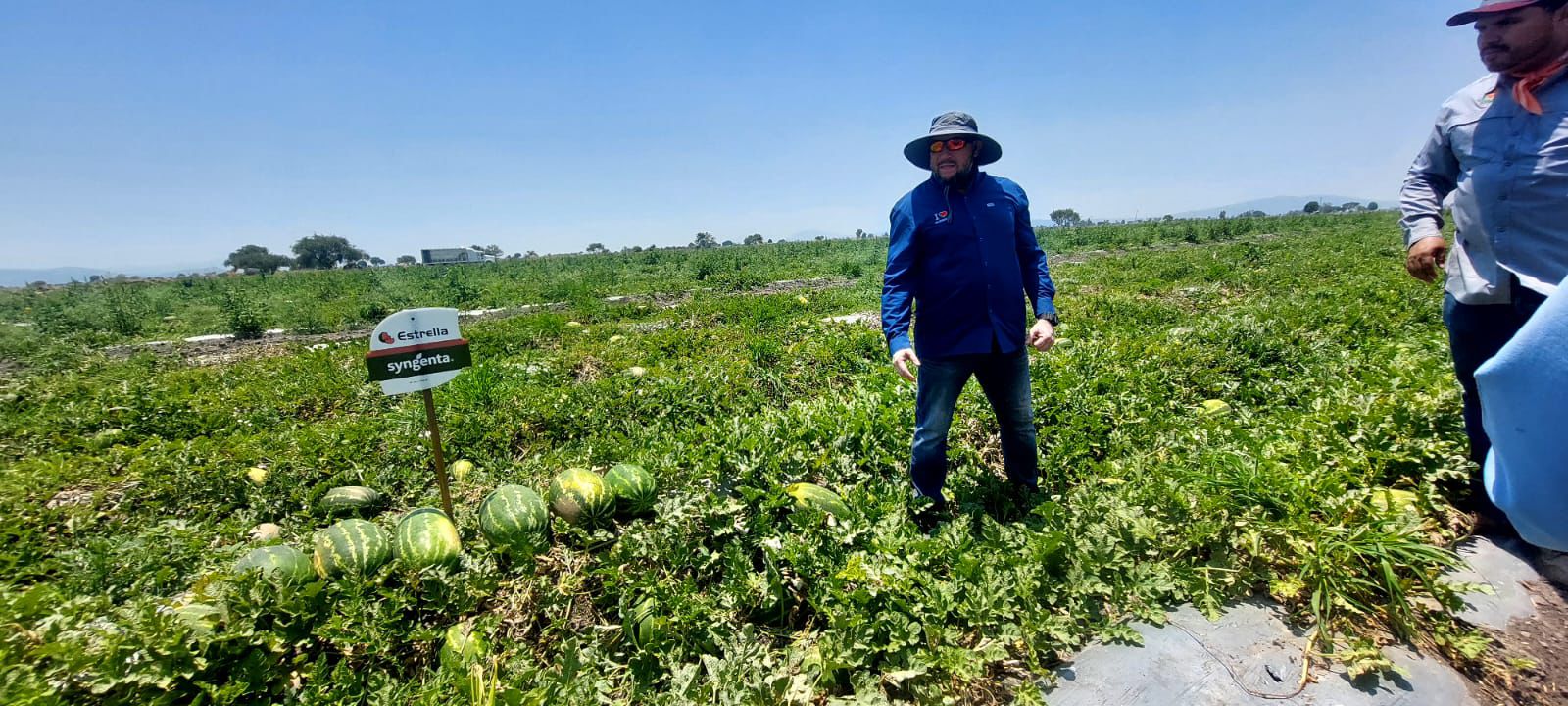 La importancia de elegir buenas semillas