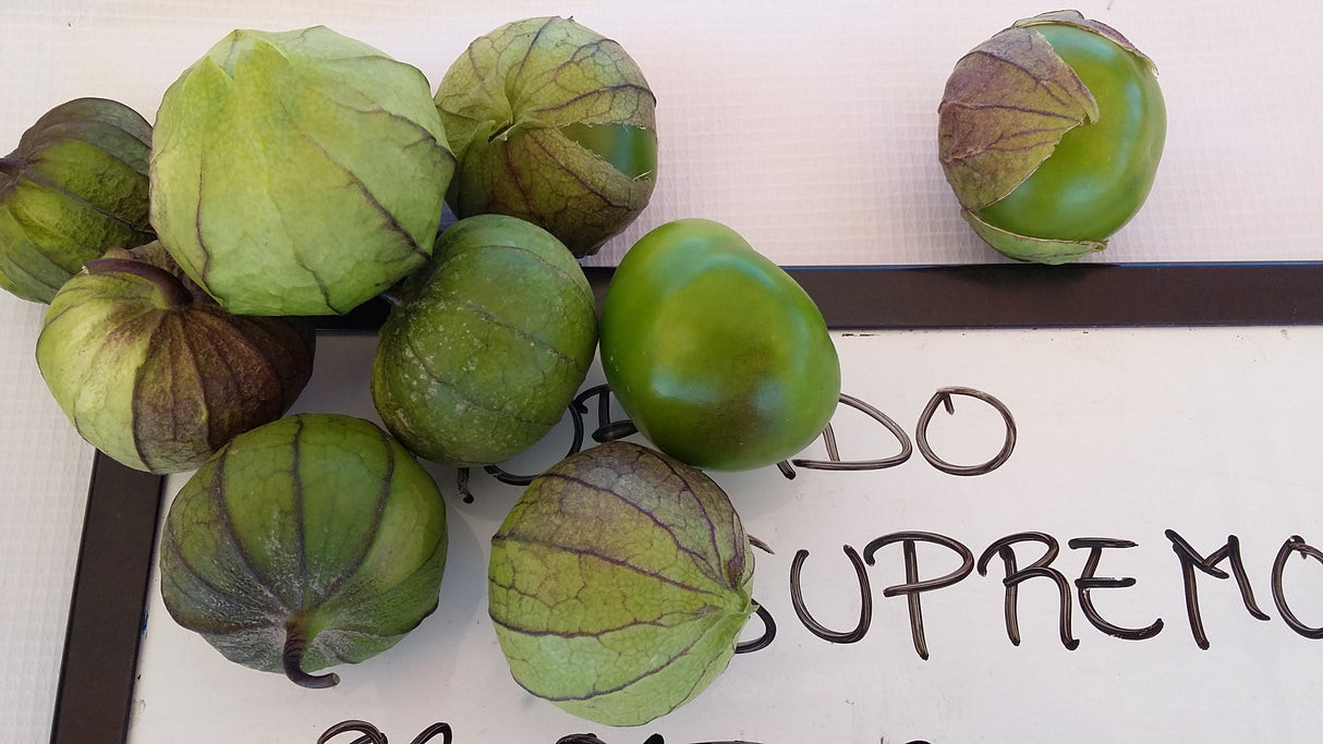 Tomatillo Morado Supremo 100M