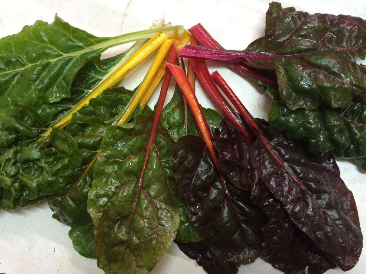 Acelga Arcoiris Sobre 1 lb