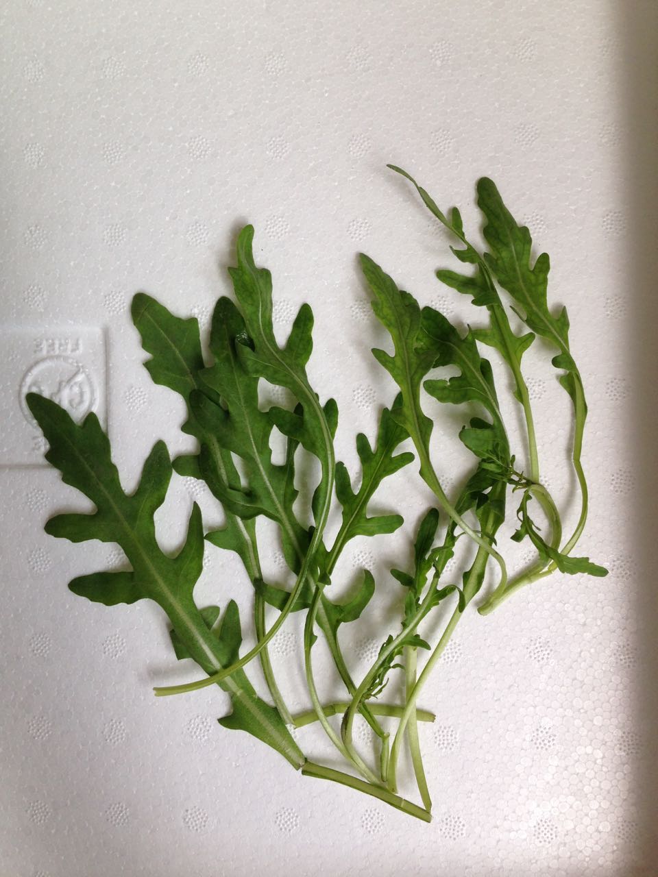 Arúgula Rocket Sobre 1 Lb