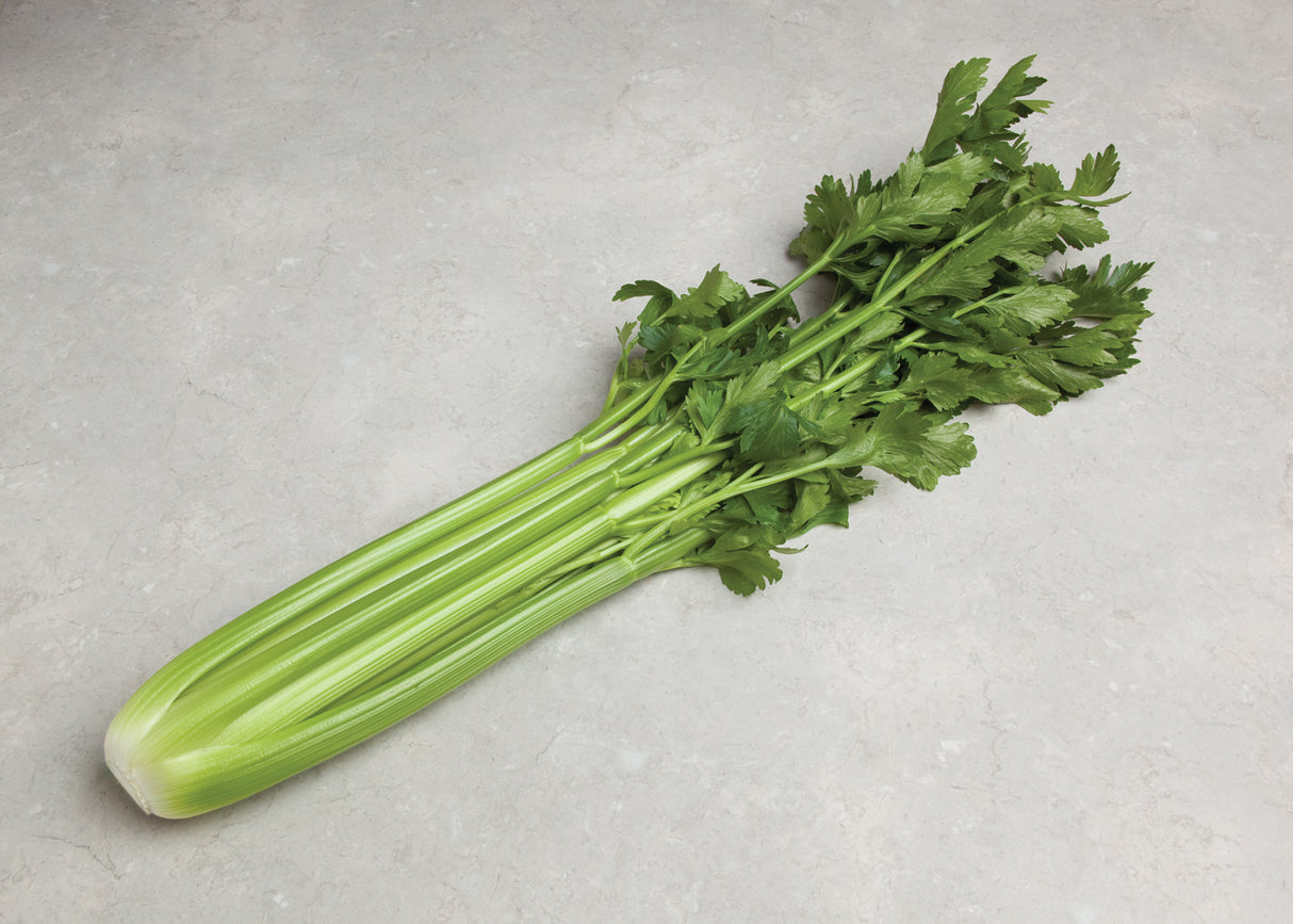 Apio Command sin tratamiento Sobre 500 Millares. Promoción 10+1 (se aplica en el carrito)