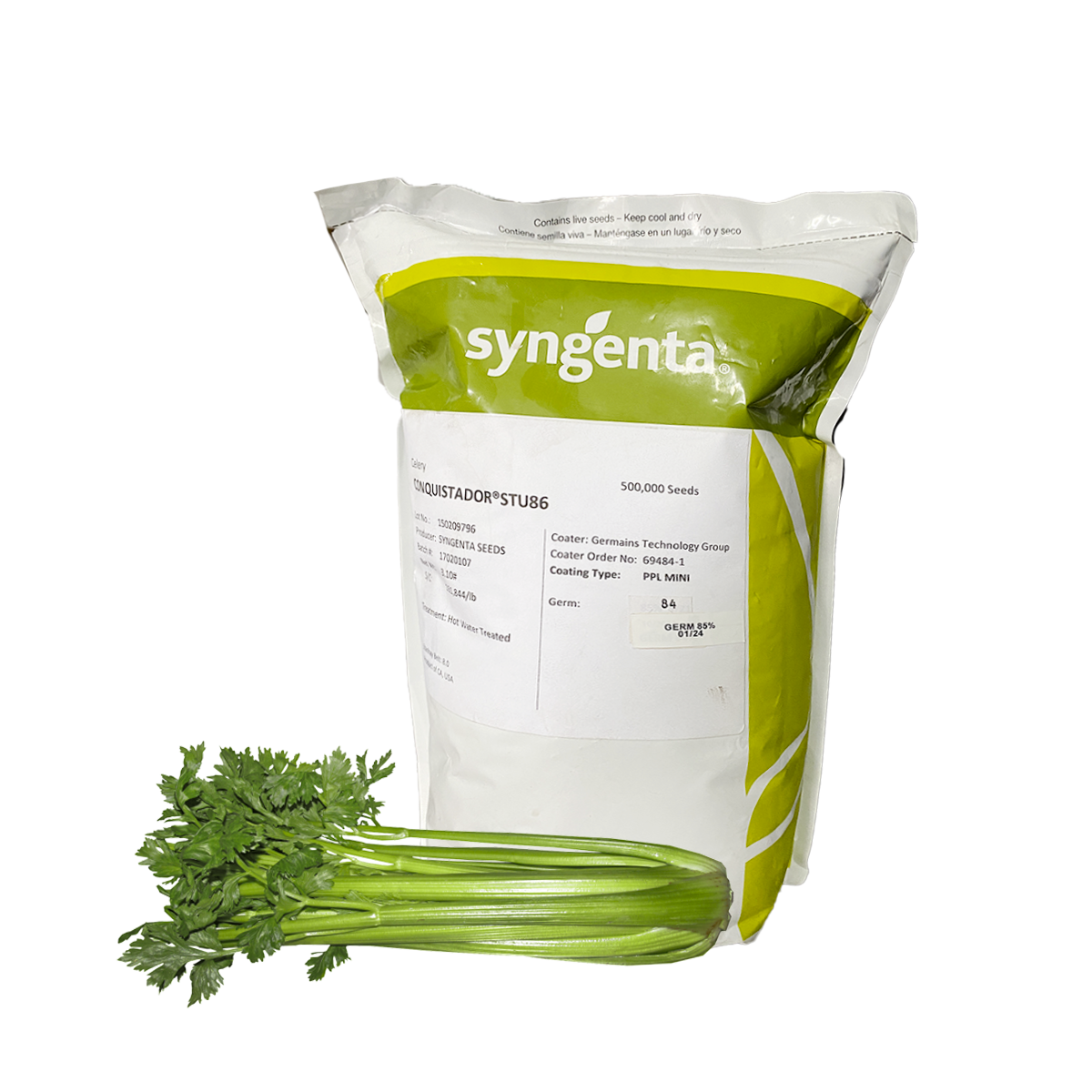 Apio Conquistador sin tratamiento Sobre 500 millares. Descuento 25% (se aplica en el carrito)