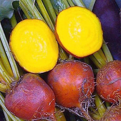 Betabel Amarillo Golden Detroit Sobre 1 Lb