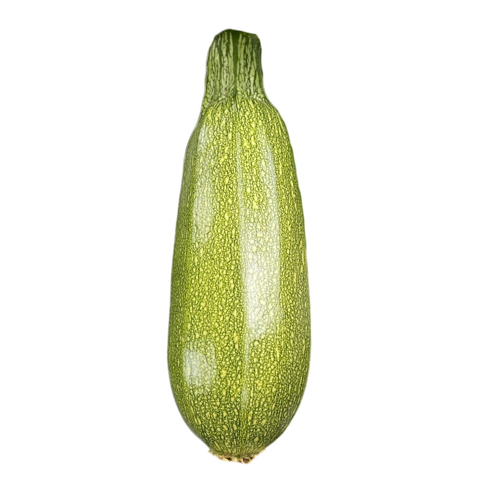 Calabaza Grey Zucchini Saco 50Lb