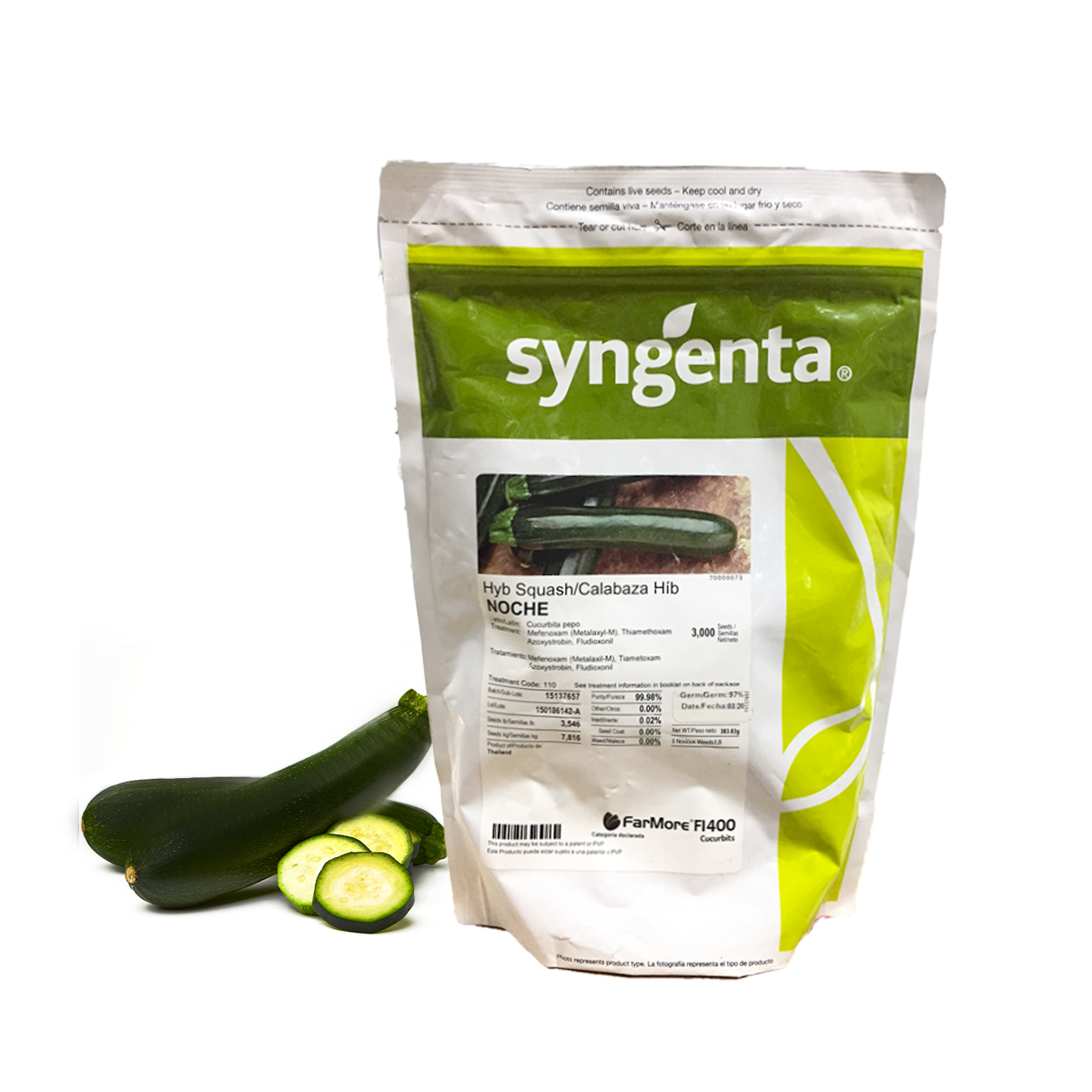 Calabaza Verde Noche Sobre 3 Millares