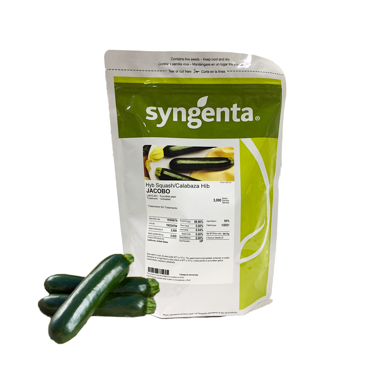 Calabaza Jacobo Sobre 3 Millares