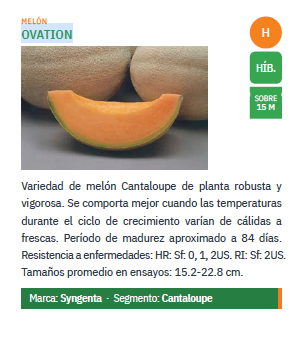 Melon Ovation Sobre 15 Millares