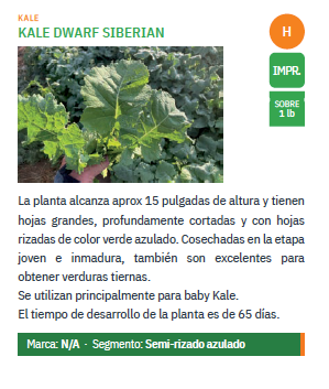 Kale Dwarf Siberian Plain Saco 26 LB