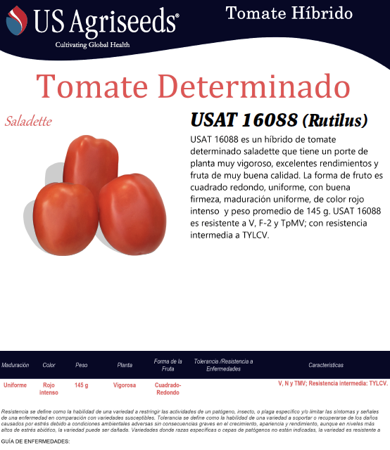 Tomate Rutilus Sobre 1 millar