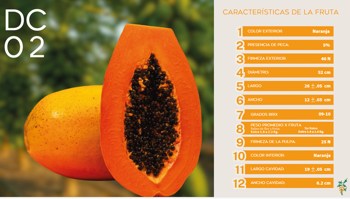 Papaya DC2 Colimosa Sobre 2.5 millares