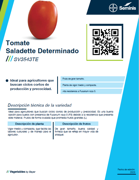 Tomate Saladette Determinado SV3543TE Sobre 5 millares