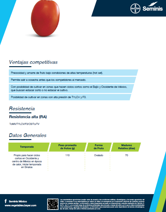 Tomate Saladette Determinado SV3543TE Sobre 5 millares