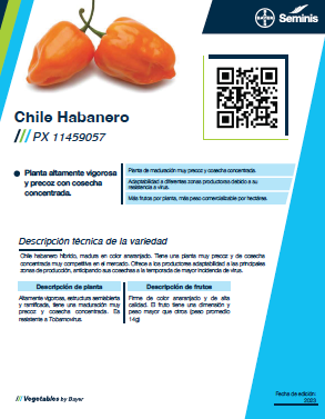 Chile Habanero PX 11459057 Sobre 1 millar