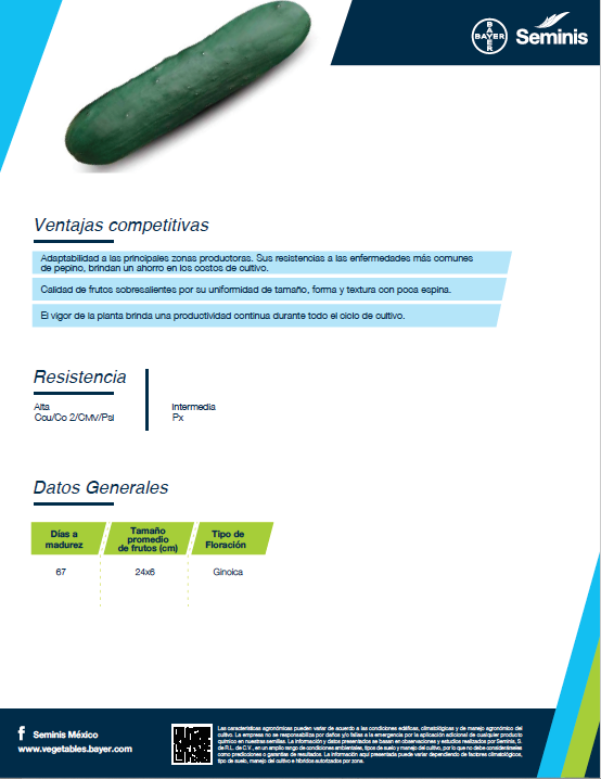 Pepino Americano Turbo Sobre 15 millares