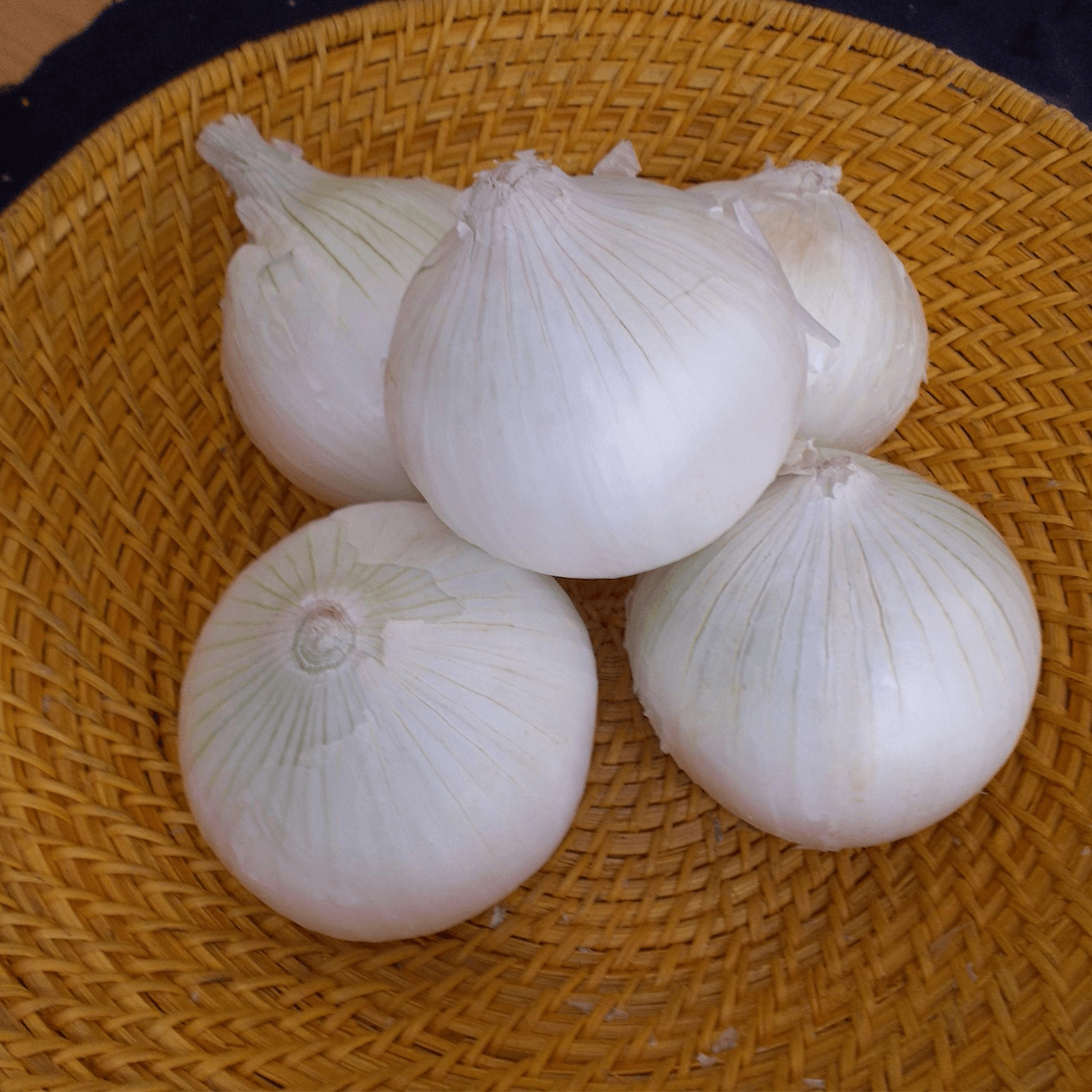 Cebolla Early White Grano Sobre  1 Libra