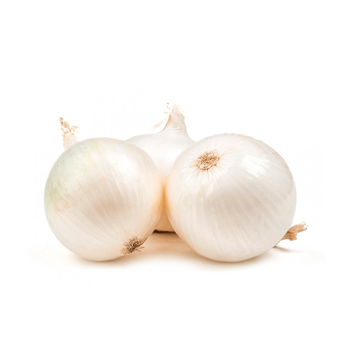 Cebolla Early White Grano Sobre  1 Libra