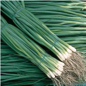 Cebollin Natsuyo Sobre 1 Lb