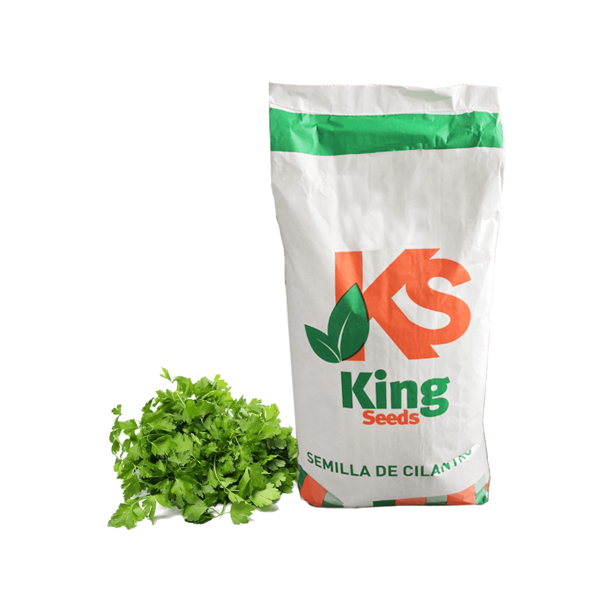 Cilantro Marrueco mitades saco 10 Kg