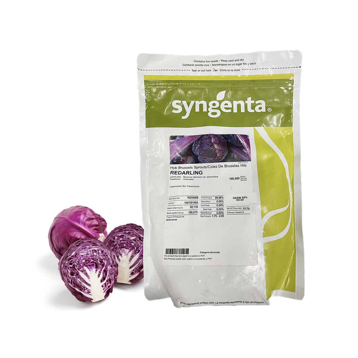 Col de Bruselas Redarling Sobre 100 millares sin tratamiento. Descuento 25% (se aplica en el carrito)