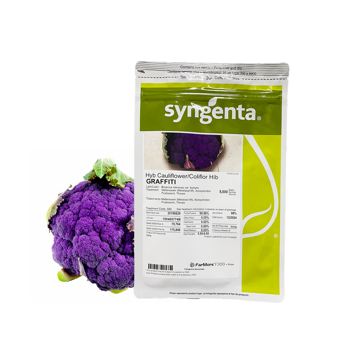 Coliflor Morada Graffiti sobre 5 millares