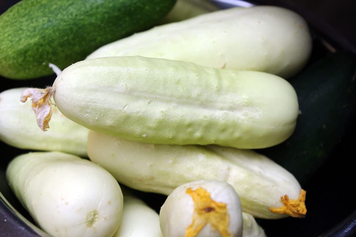 Pepino White Wonder Sobre 1 Lb