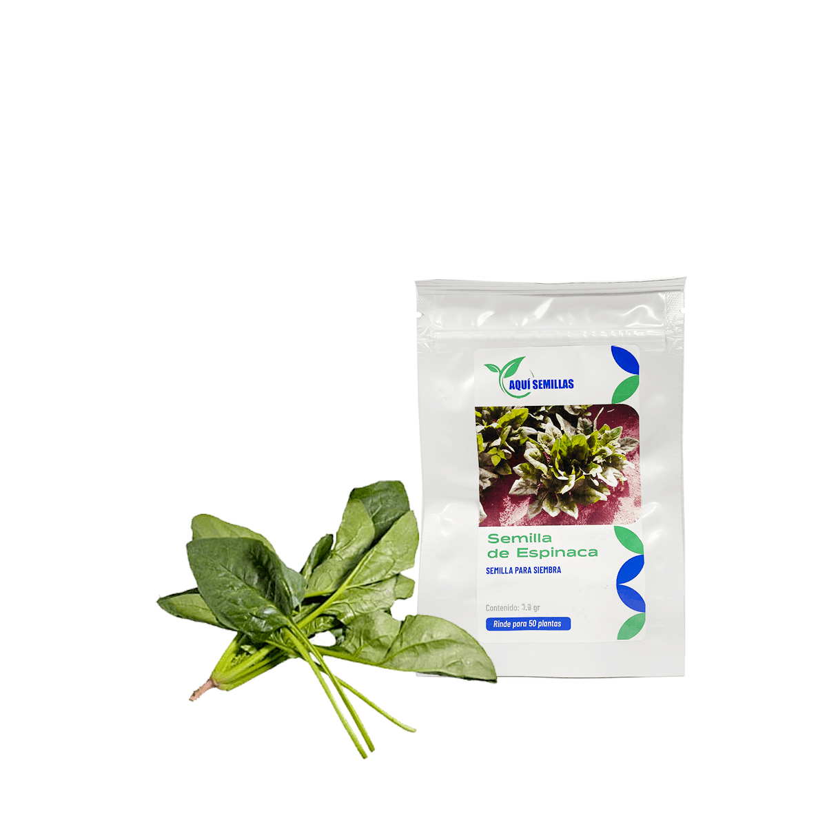 Espinaca Sobre 1.3 Gr