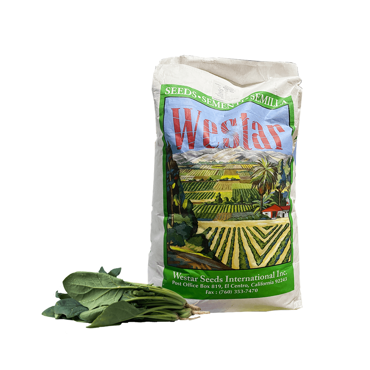 Espinaca 3030 F-1 Large Saco 1 Millón de semillas