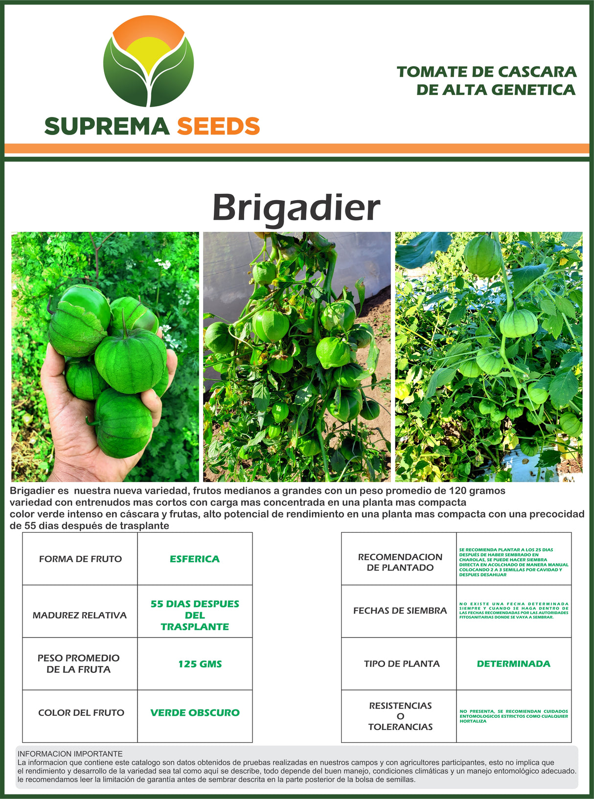 Tomatillo Brigadier Sobre 25 millares