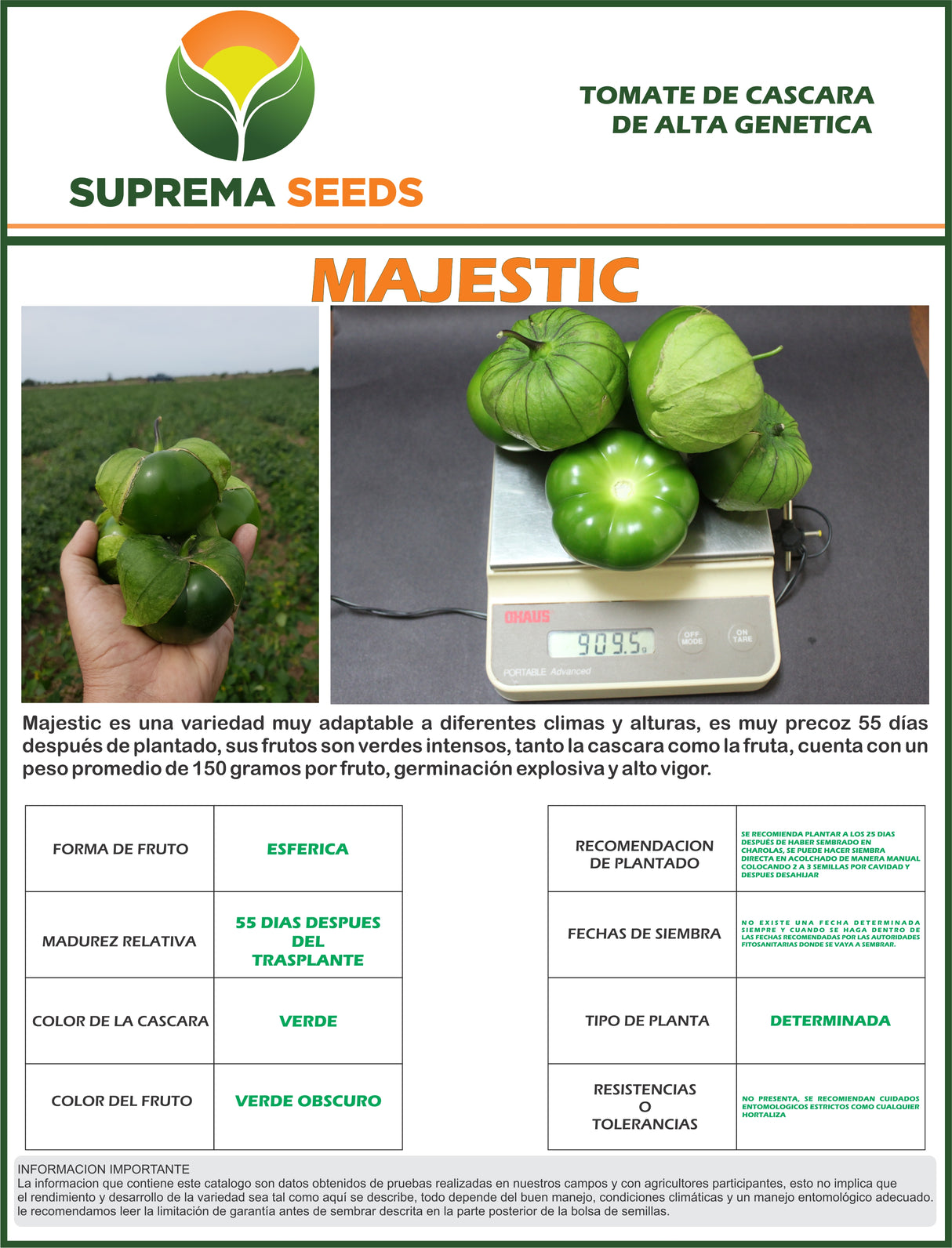 Tomatillo Majestic Sobre 25 millares