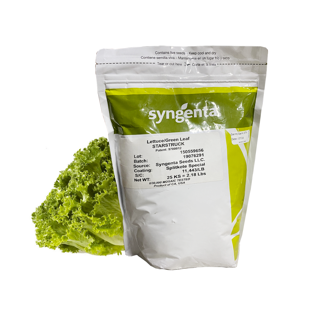 Lechuga Starstruck Sobre 25 millares sin tratamiento peletizada primed