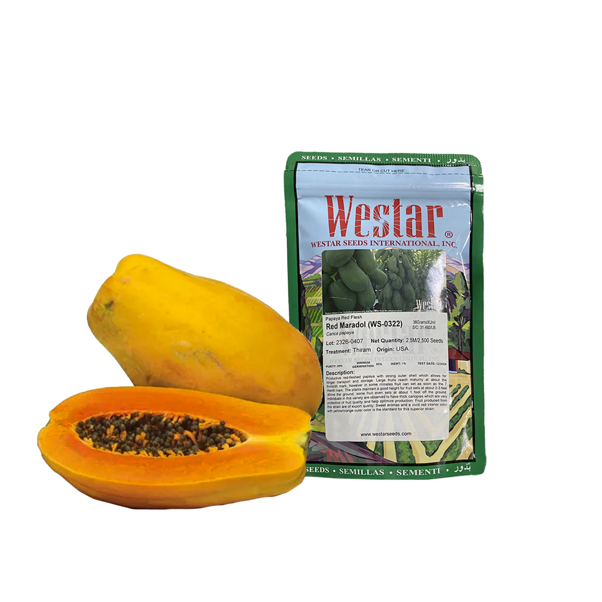 Papaya Red Maradol Sobre 2.5Millares. Descuento 5% (se aplica en el carrito)