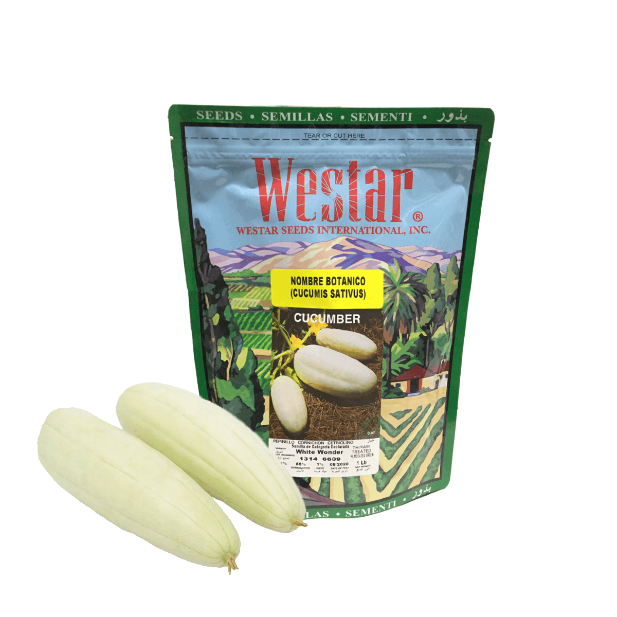 Pepino White Wonder Sobre 1 Lb