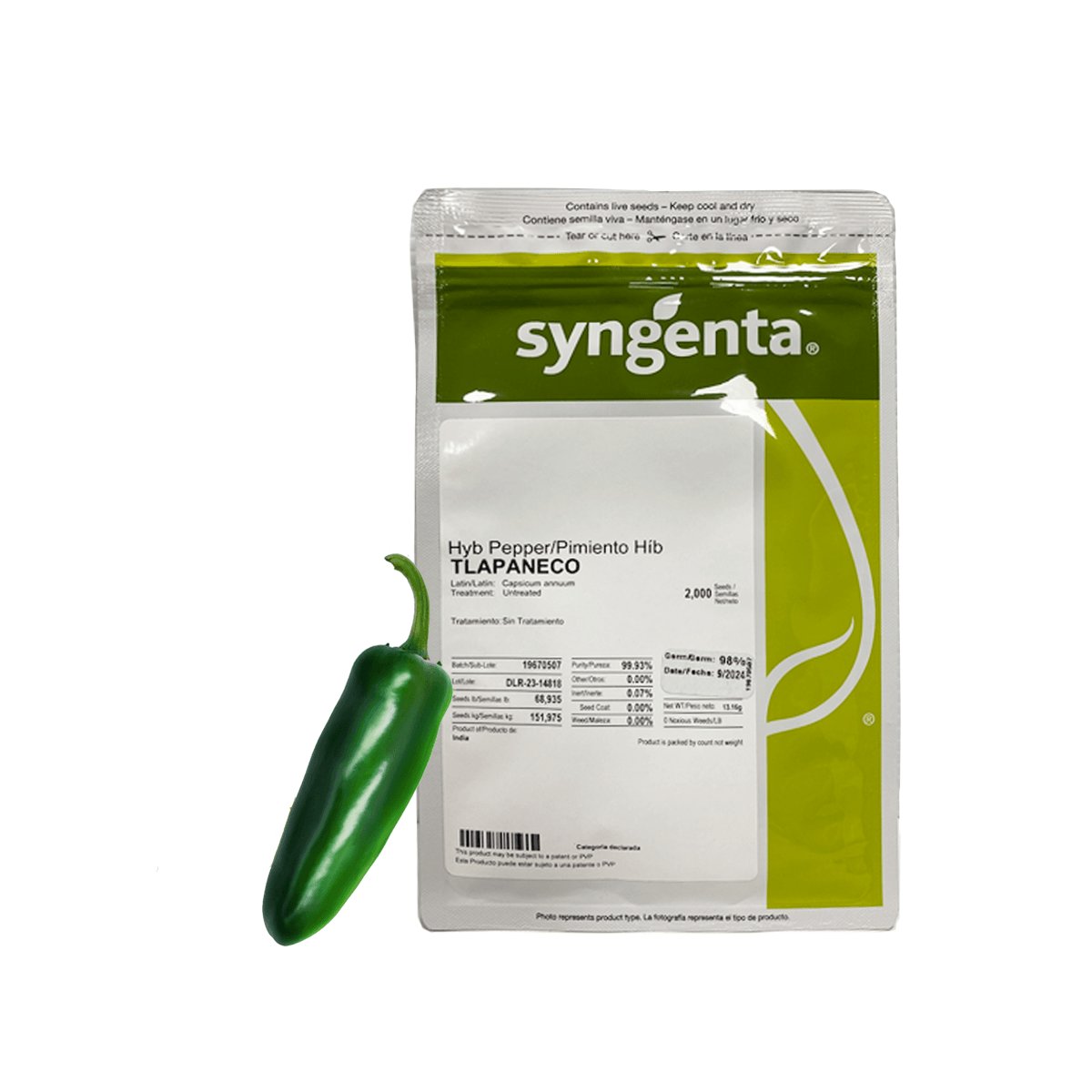 Chile Jalapeño Tlapaneco Sobre 2 millares sin tratamiento