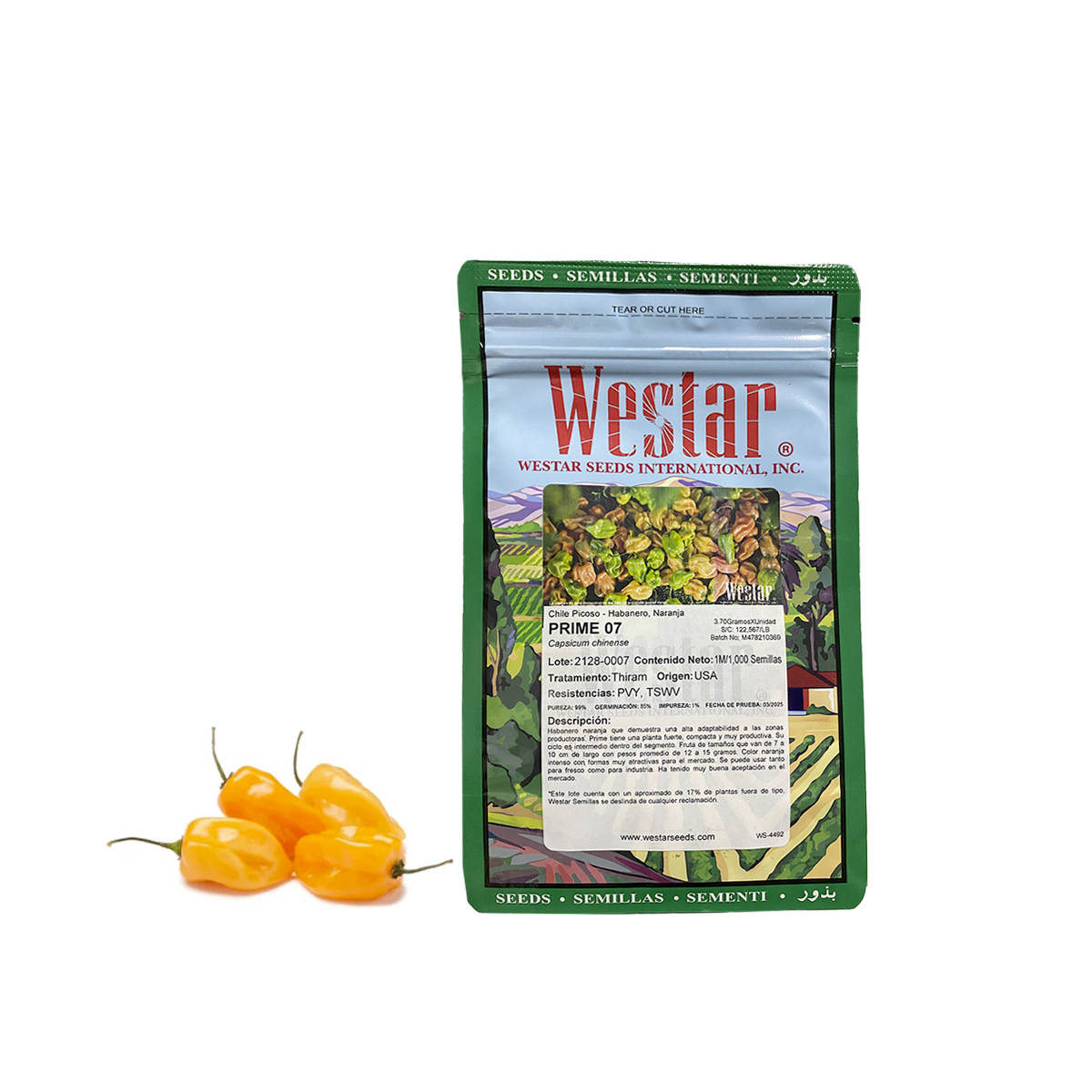 Chile Habanero Naranja Prime 1 Millar. Lote con 20% de plantas fuera de tipo.