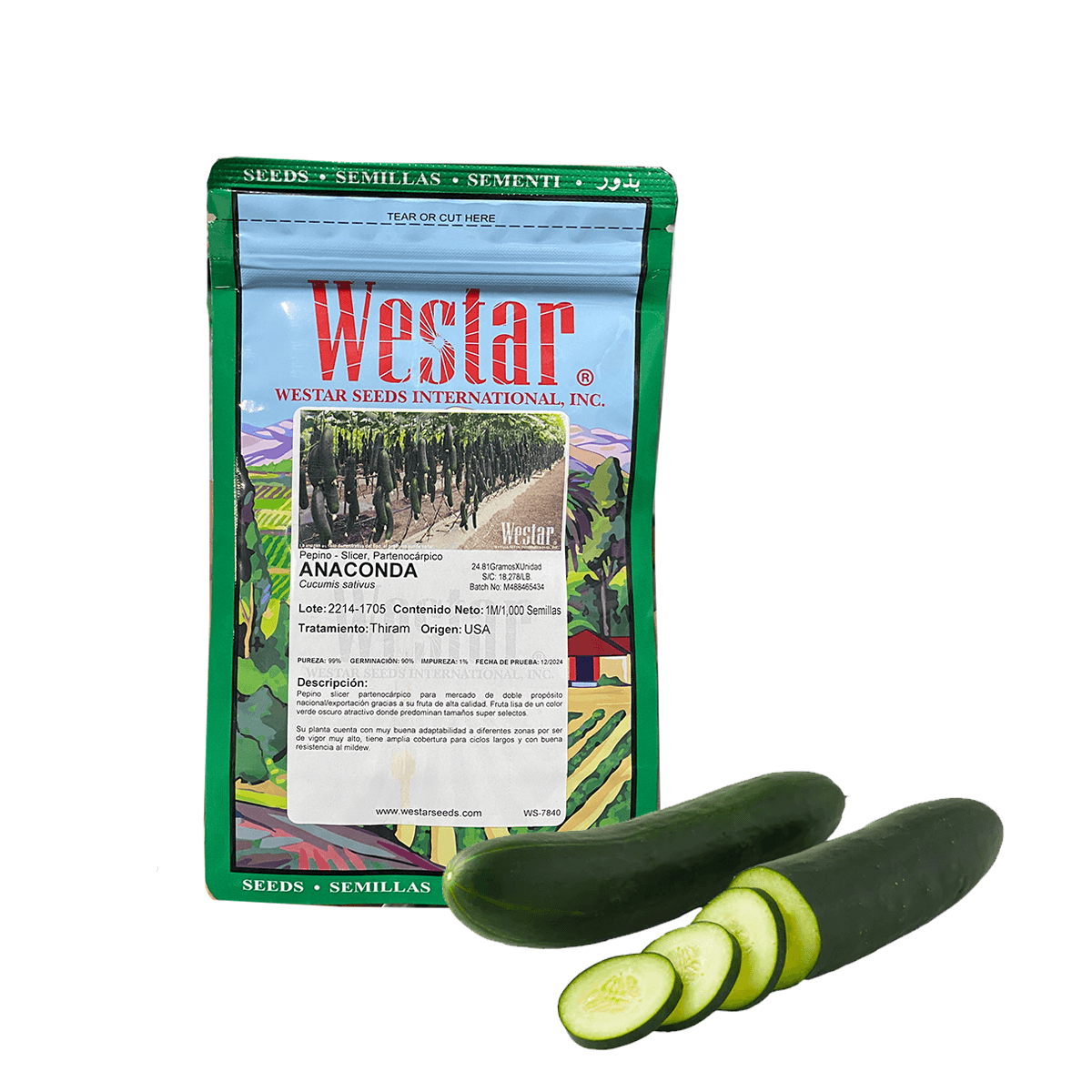 Pepino (7840) Anaconda Sobre 1M