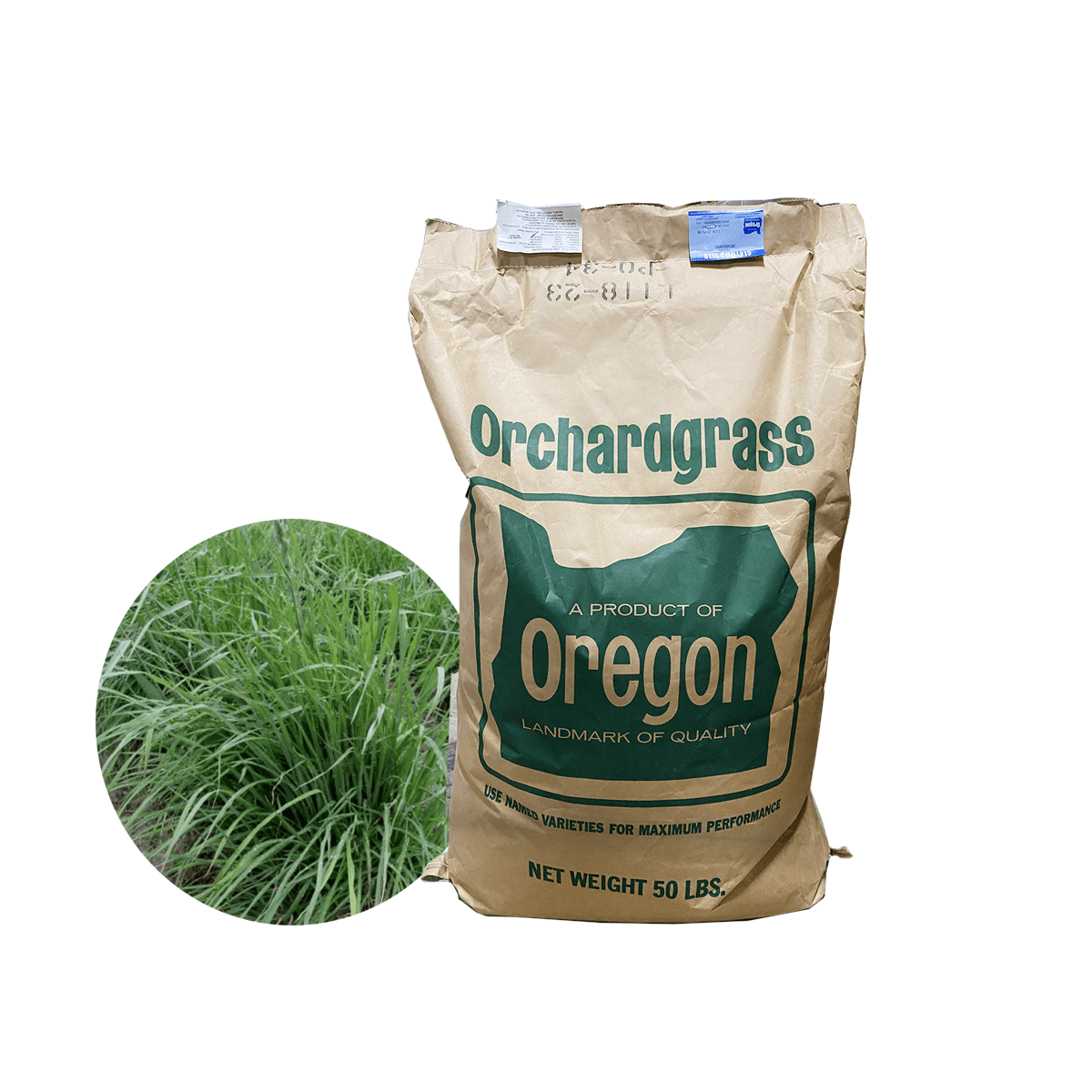 Pasto Orchardgrass Saco 50 Lb