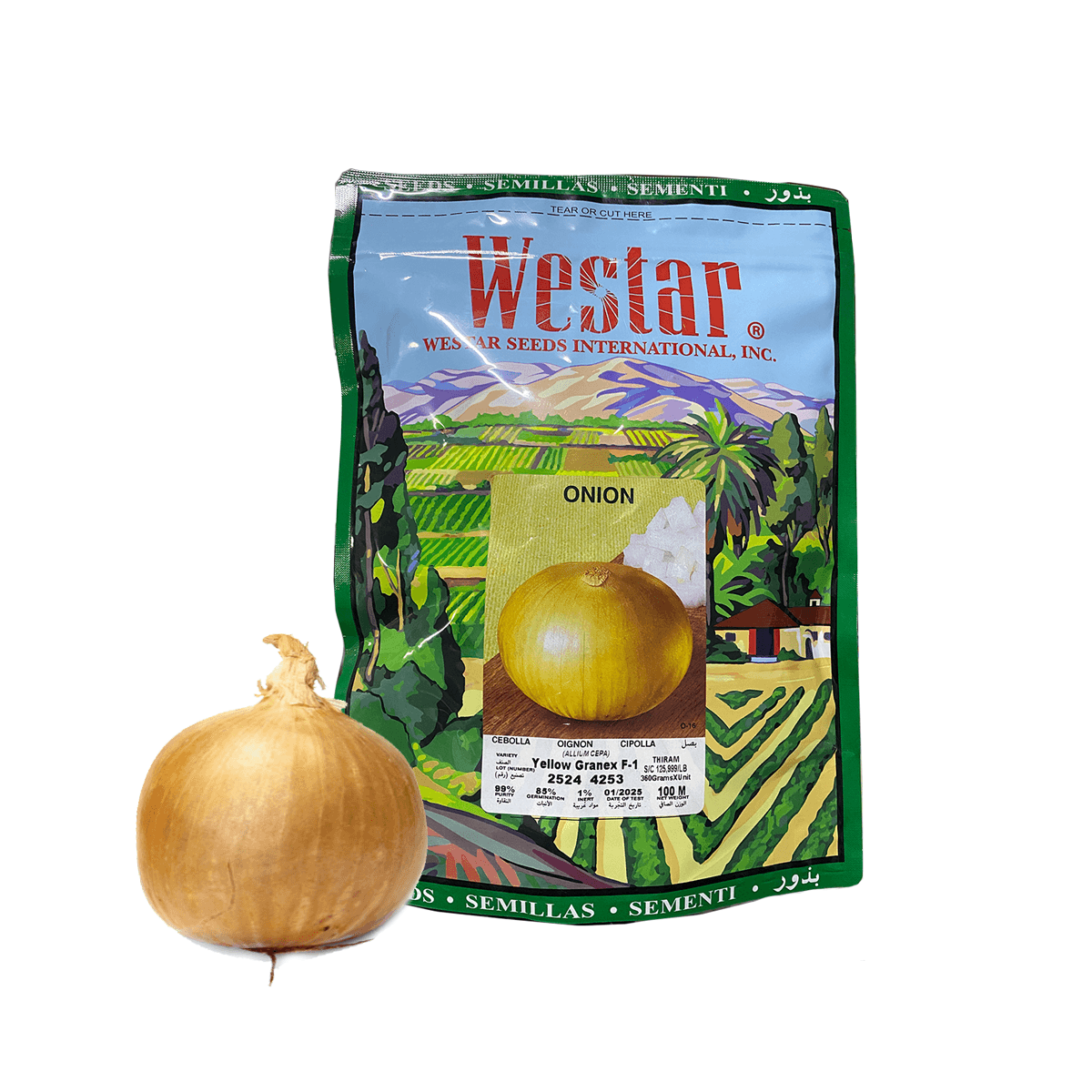 Cebolla Yellow Granex Sobre 100 Millares