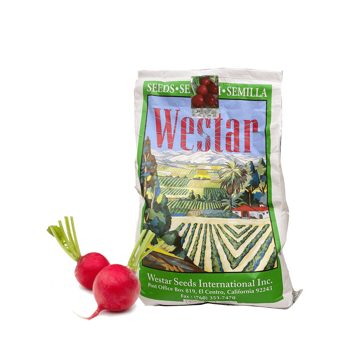 Rabano Champion Saco 50 Lb