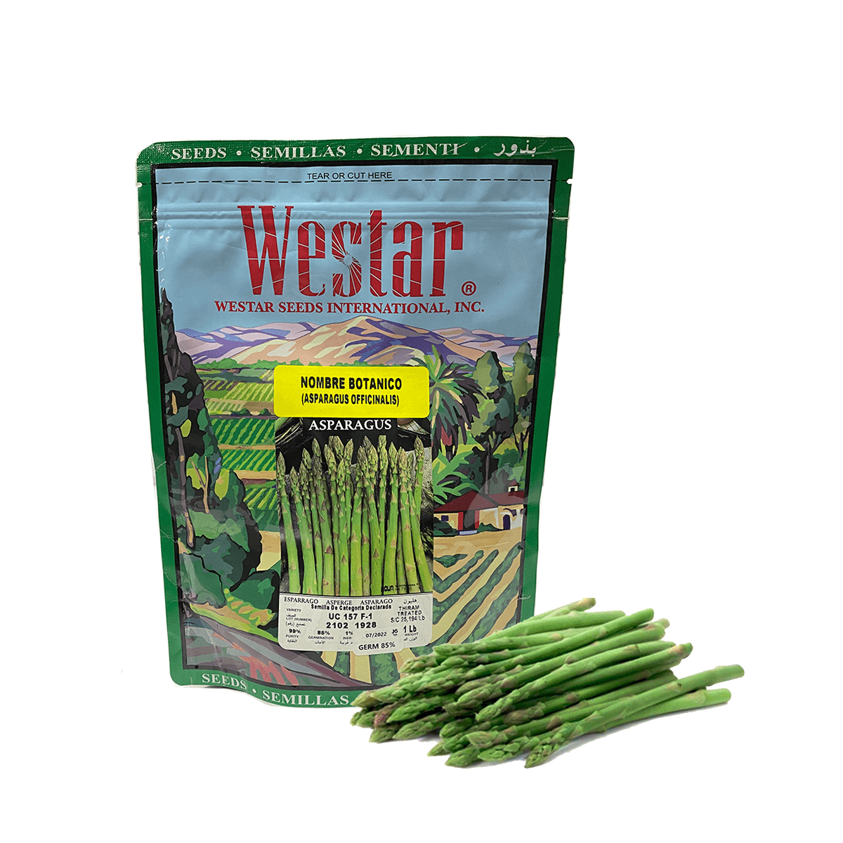 Espárrago UC 157 F-1 Sobre 1Lb