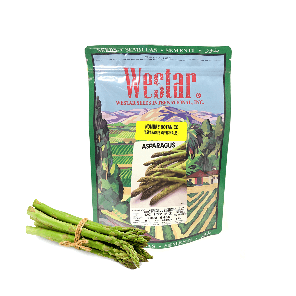 Espárrago UC 157 F-2 Sobre 1Lb