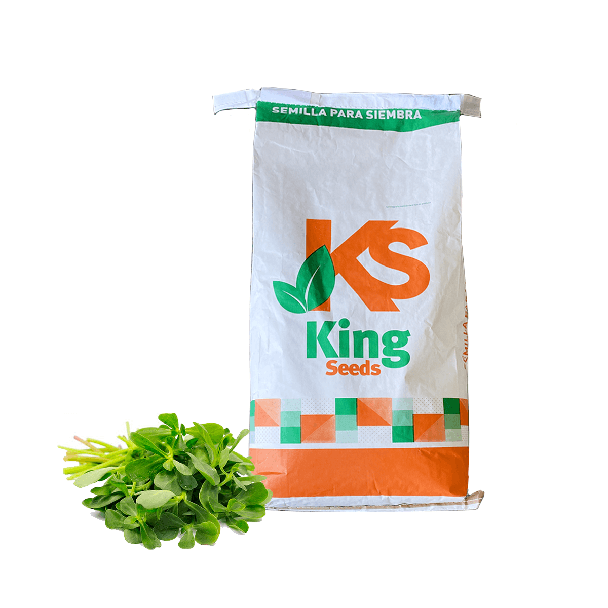 Verdolaga sobre de 1 Kg Sin tratamiento