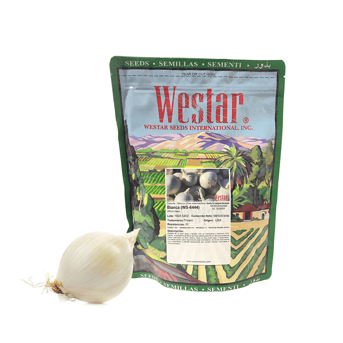 Cebolla Bianca F1 100 Millares