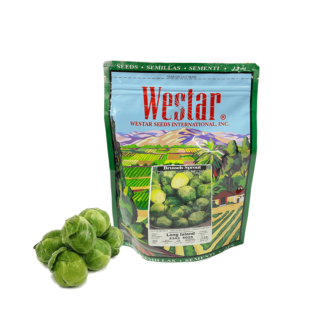 Col De Bruselas Long Island Sobre 1 Lb