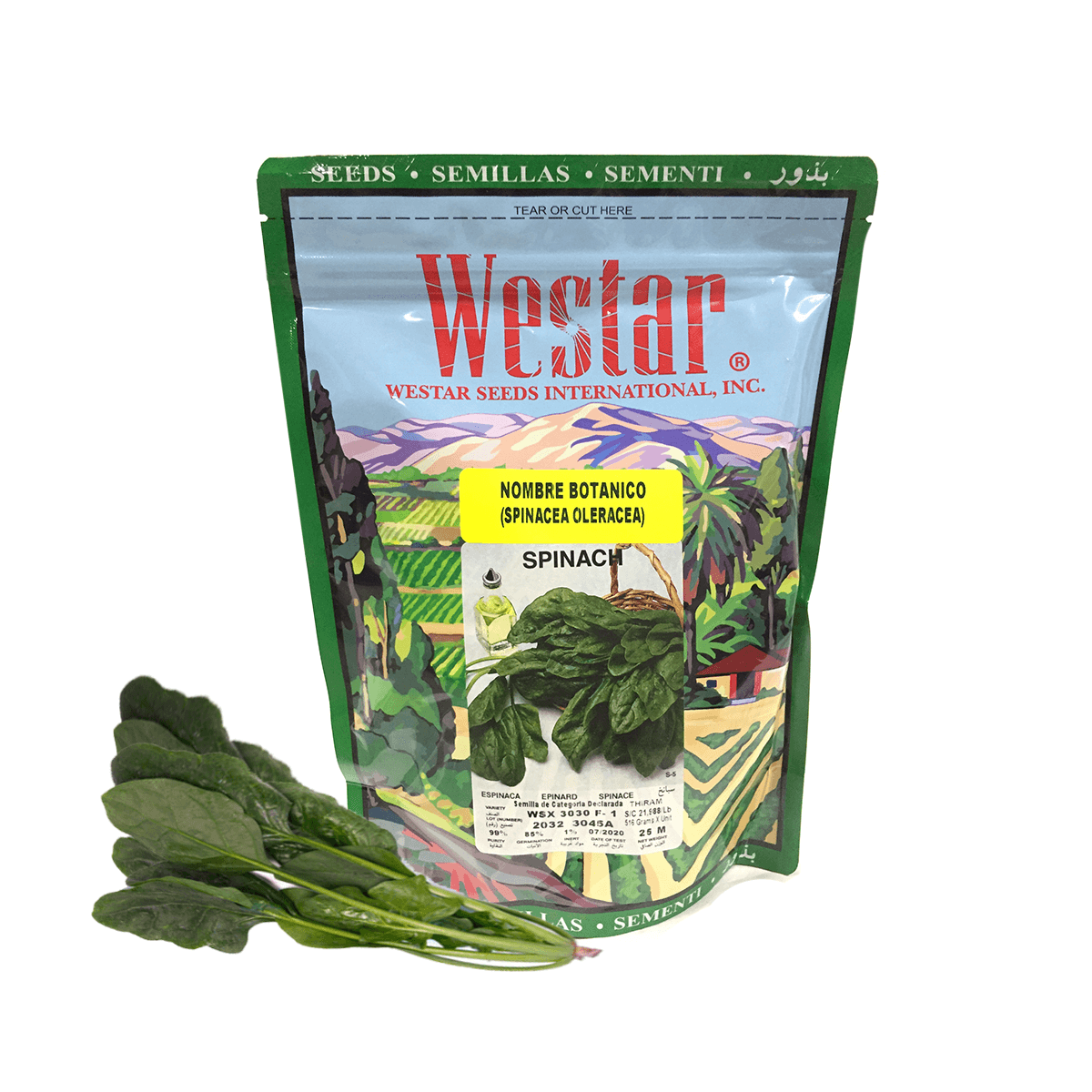 Espinaca 3030 F-1 Sobre 25 Millares