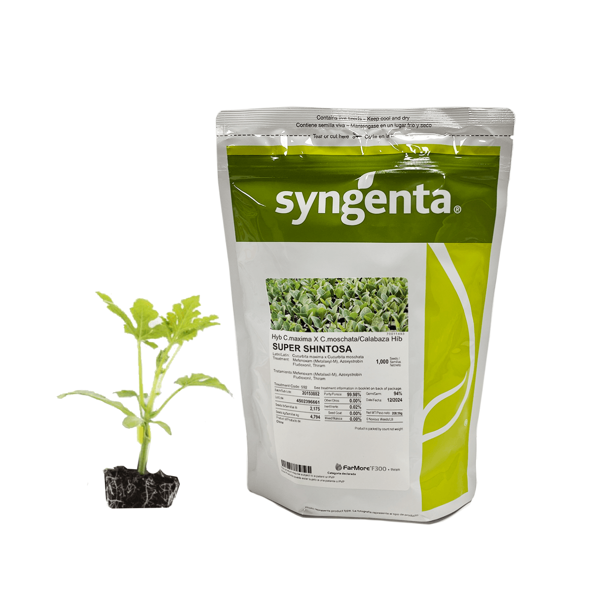 Porta Injerto Super Shintosa 1 Millar