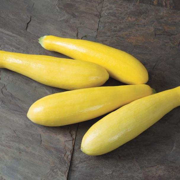 Calabaza amarilla Grandprize Sobre 5 millares