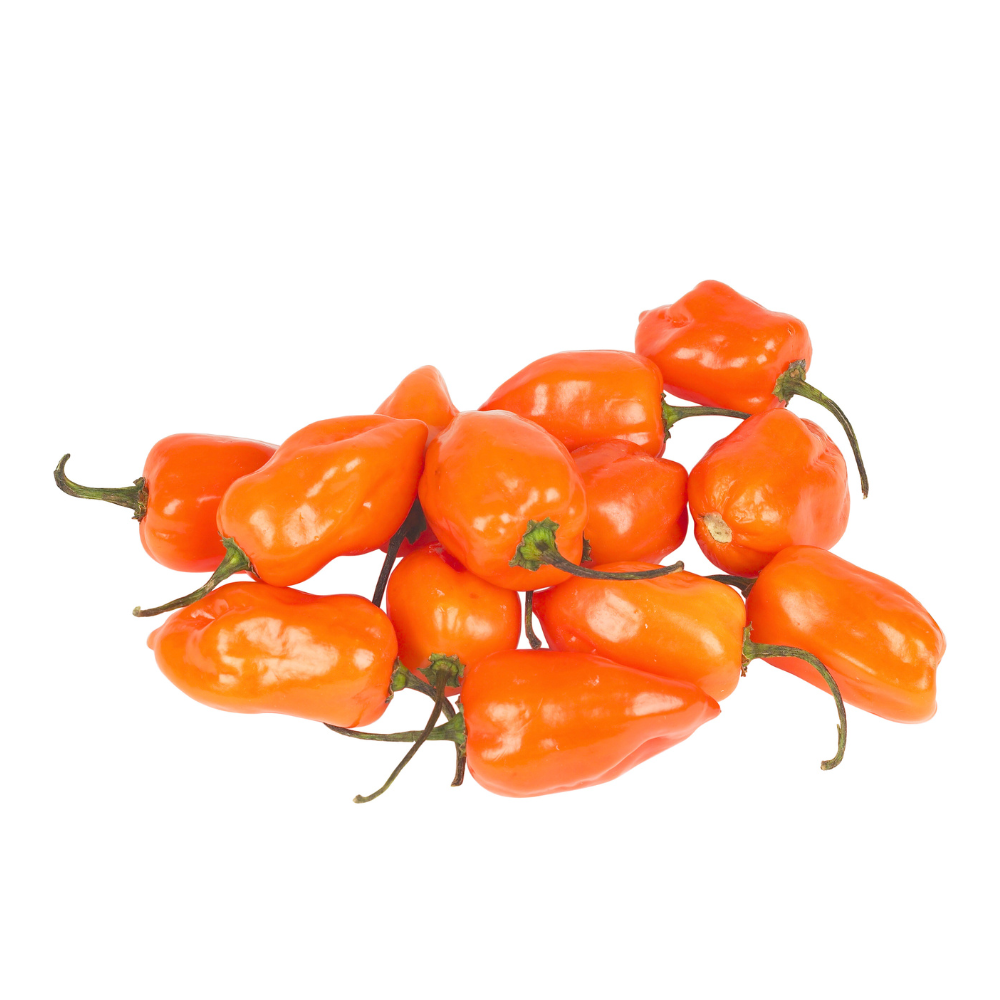 Chile Habanero Naranja (Orange) Sobre 15 millares