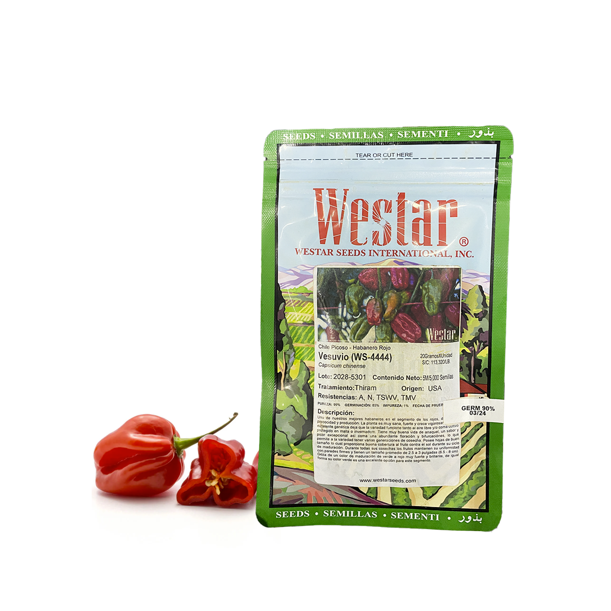 Chile Habanero Rojo Vesuvio sobre 1 millar