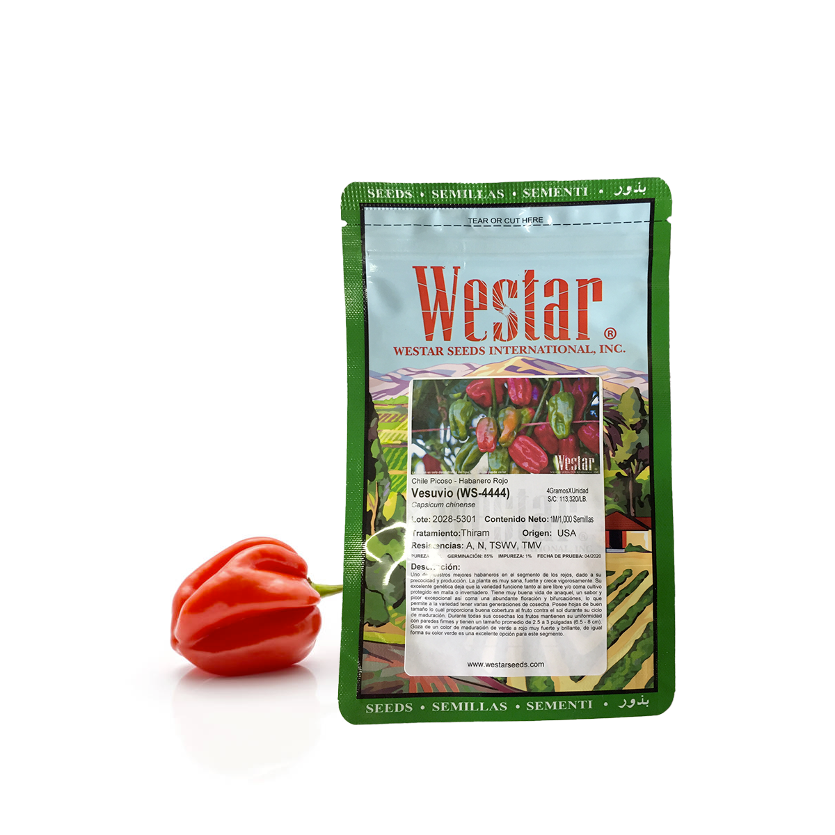 Chile Habanero Rojo Vesuvio 5 millares. Descuento 10% (se aplica en el carrito)