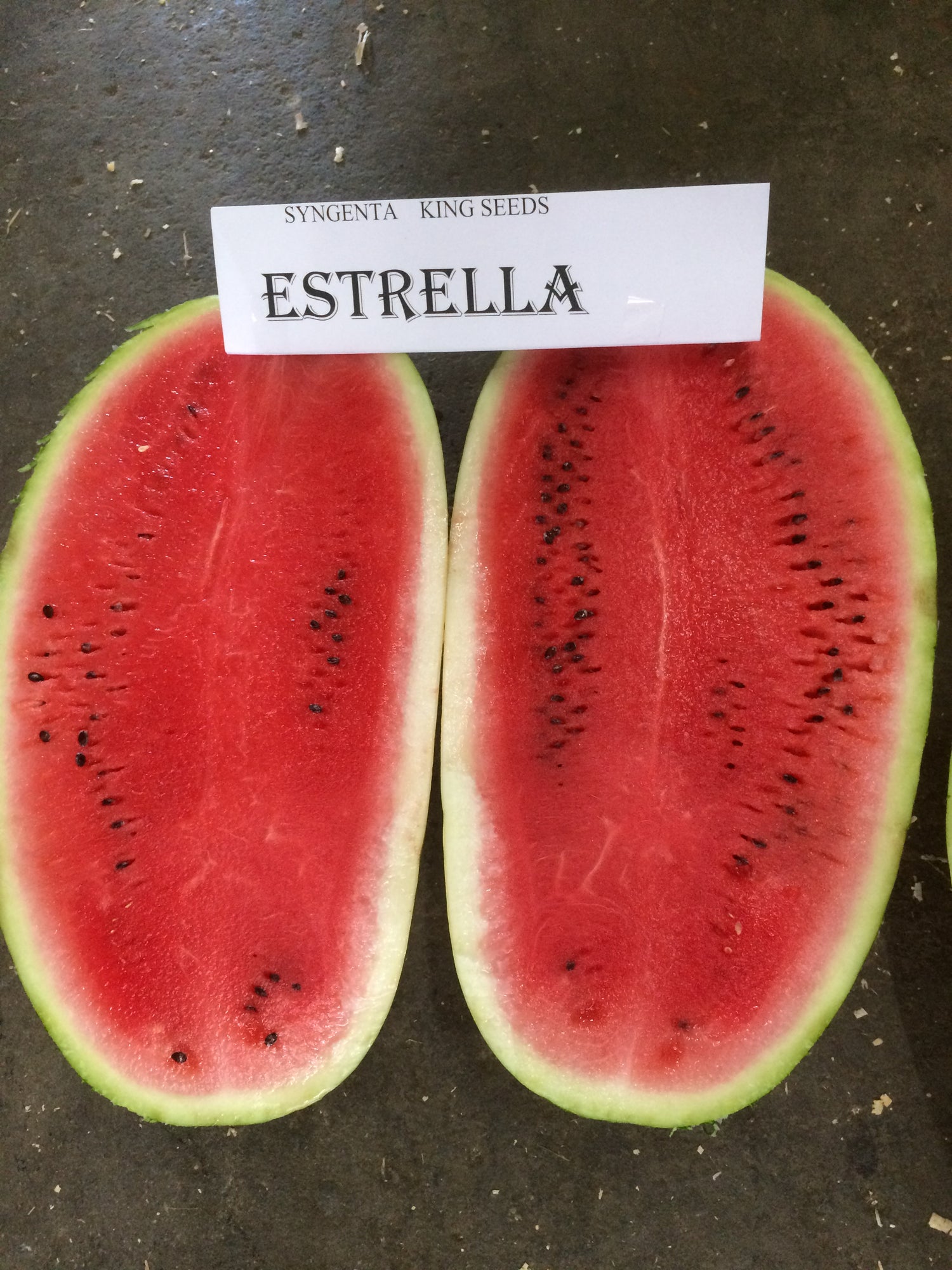 Sandia Estrella Sobre 5 Millares